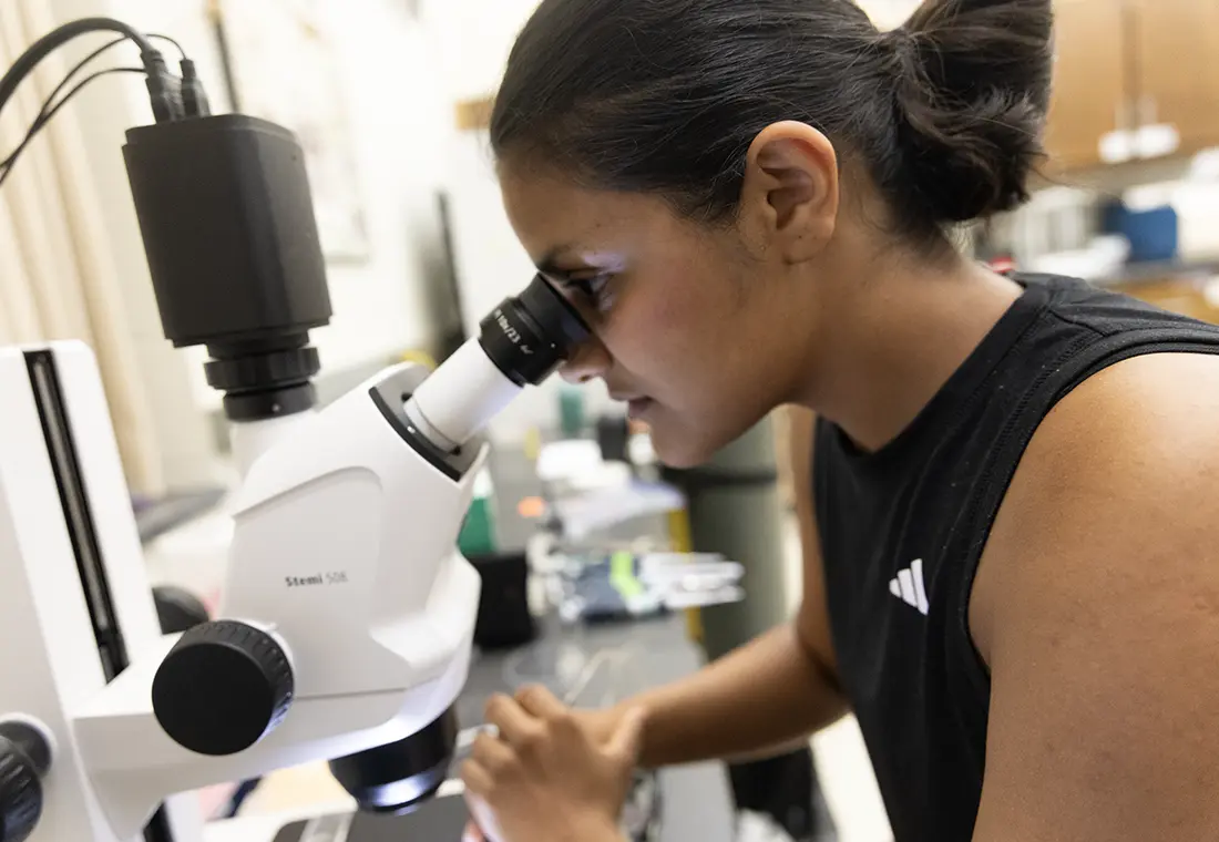 A student looking into a microscope.