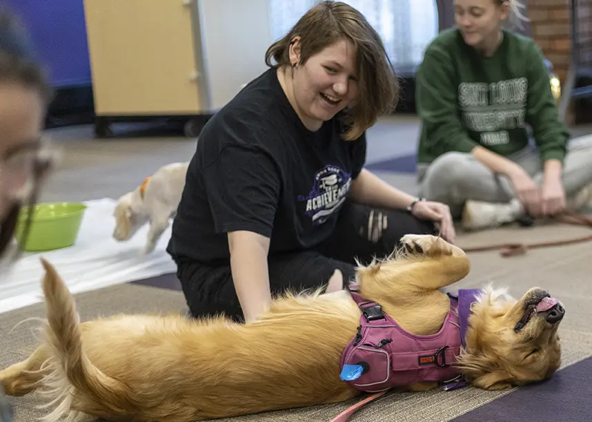 A student sits on the floor and plays with a therapy dog.