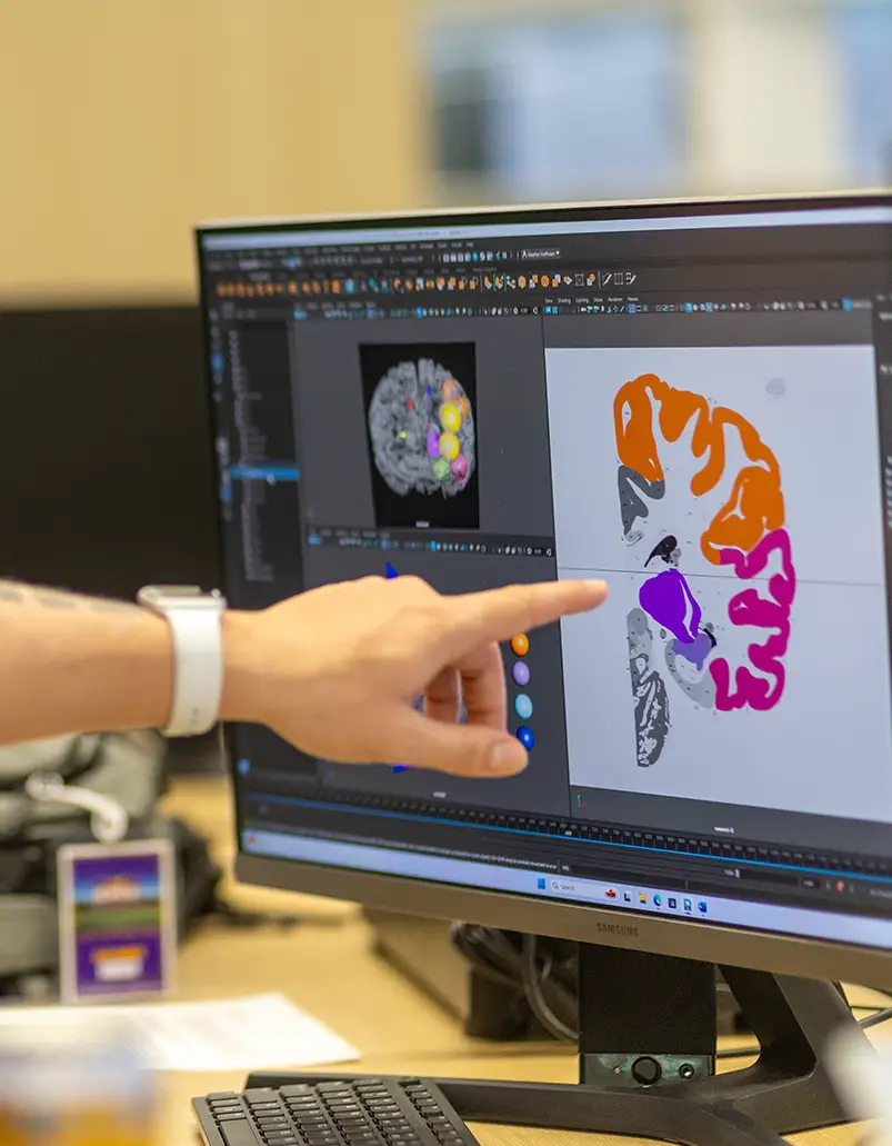 A student points to an orange, pink, and purple diagram of a brain on a computer.