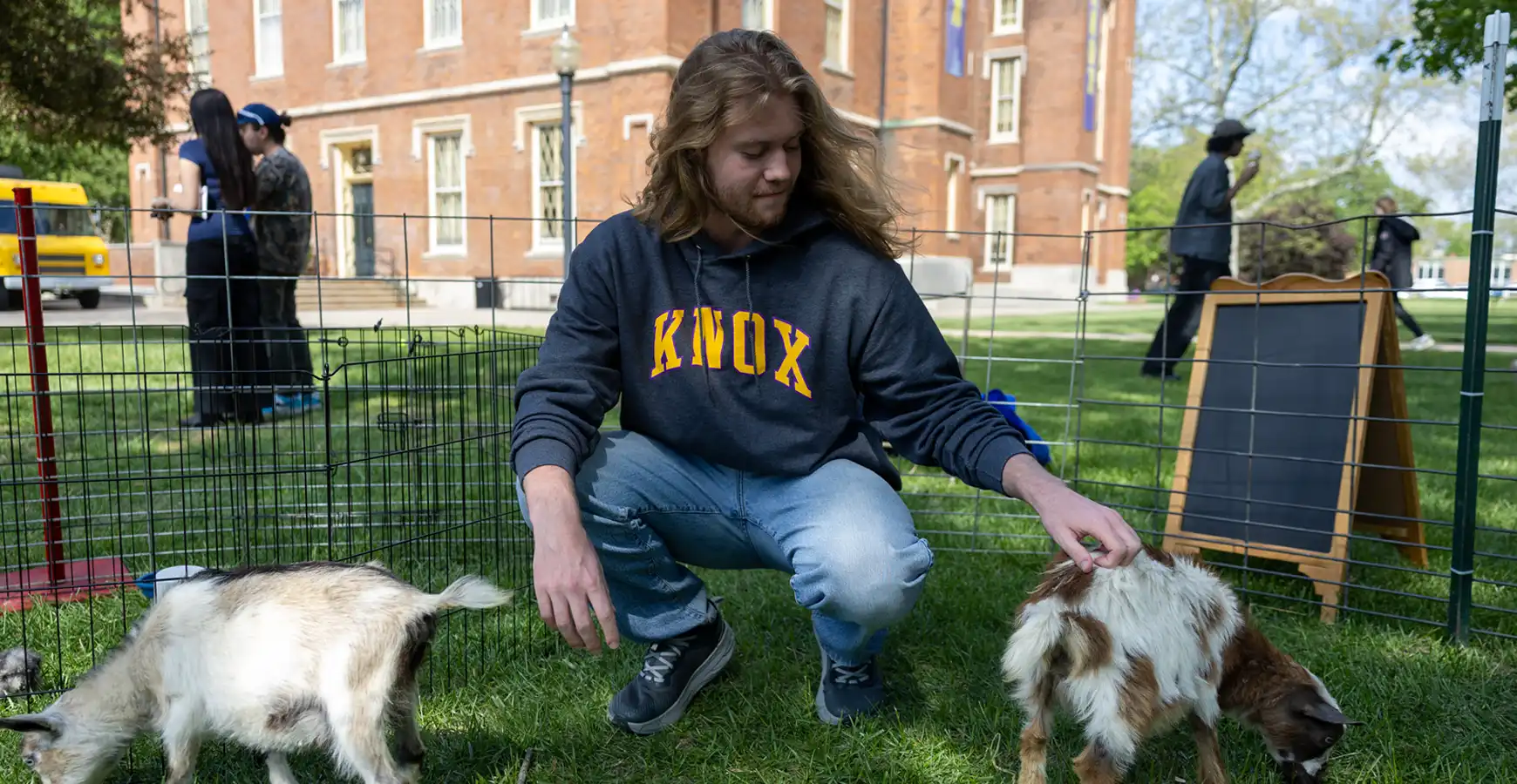 A student wearing a gray Knox sweatshirt bends down in a pen in front of Old Main, petting a goat.