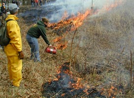 Prairie Burn