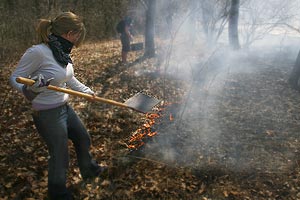 Knox College Prairie Burn