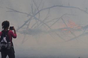 Green Oaks Prairie Burn