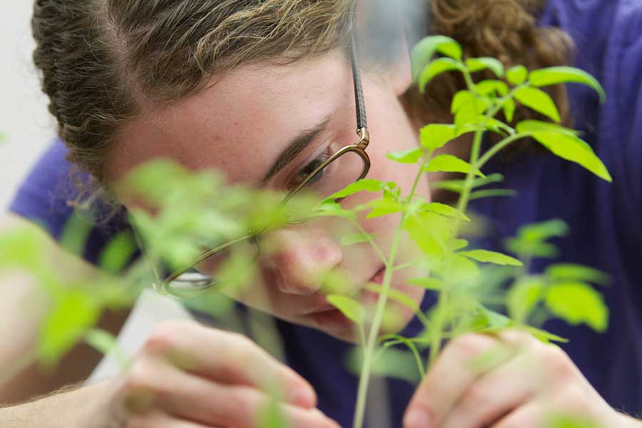 Gretchen Walljasper '14 studies plants