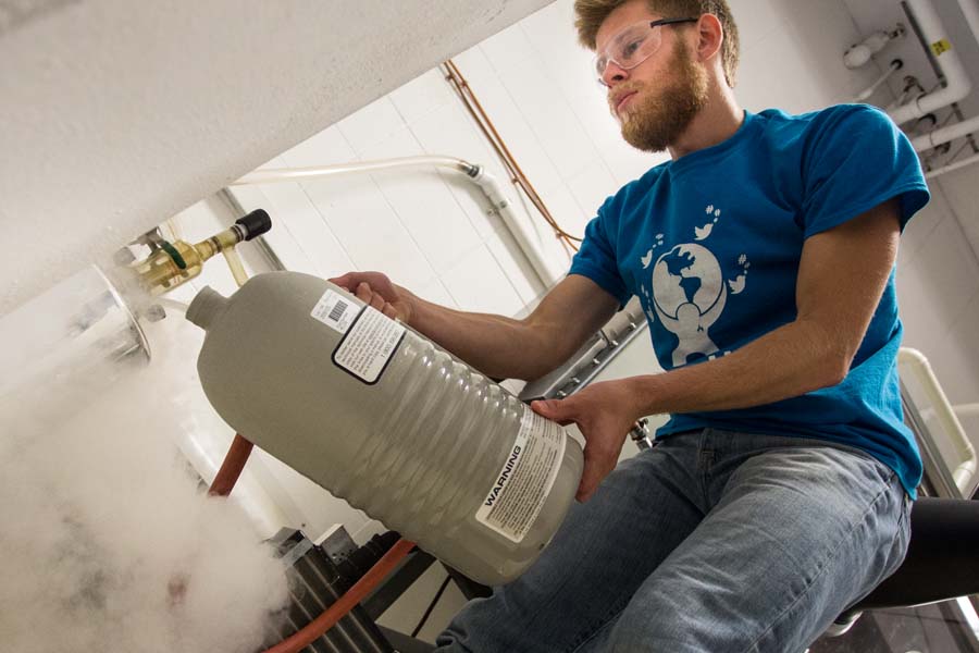 Knox College student transfers nitrogen in liquid form, for use in a research lab.