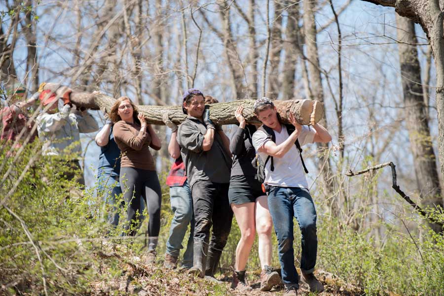 Students build log bridge at Knox College's Green Oaks Biological Field Station.