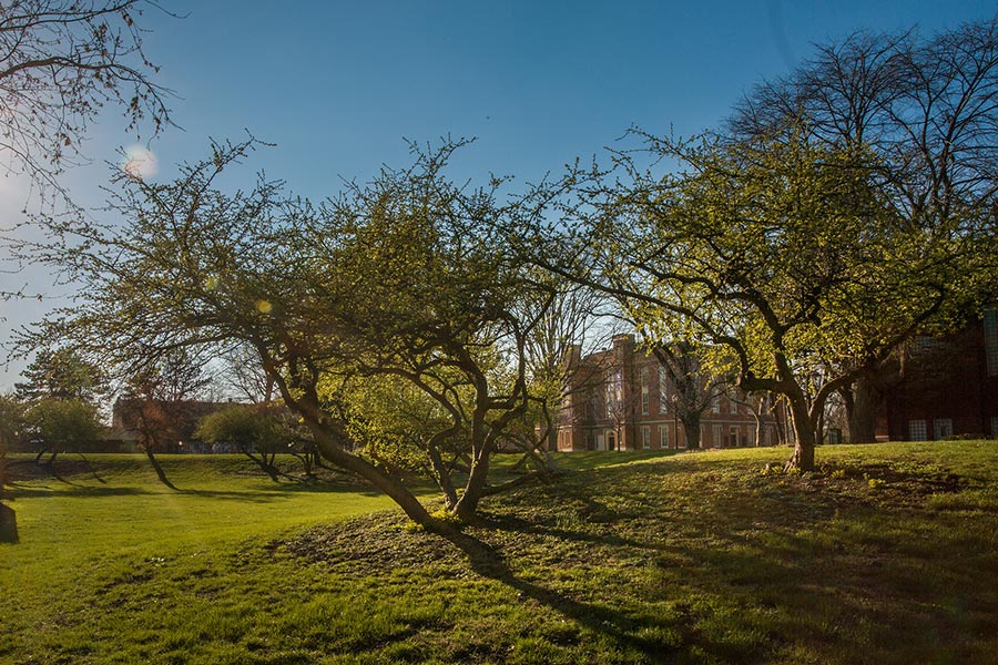 Old Main through the Trees