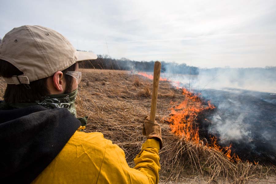 Knox College student monitors the extent of the annual Prairie Burn at the Green Oaks Biological Field Station.