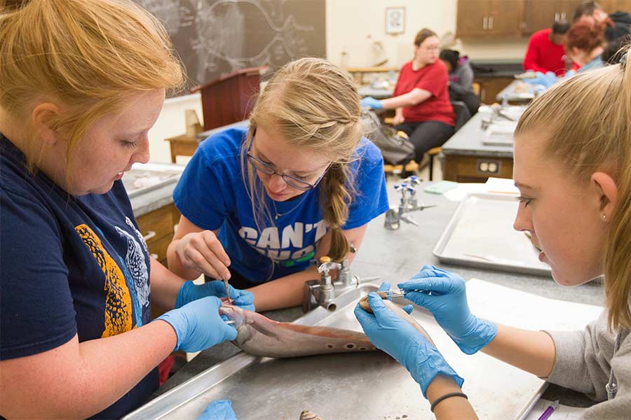 Natalie Haddad studies comparative anatomy.