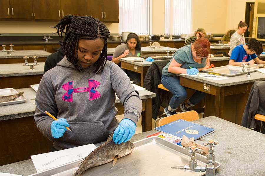 Tamia Phifer examines a specimen in the class Biology of Fishes