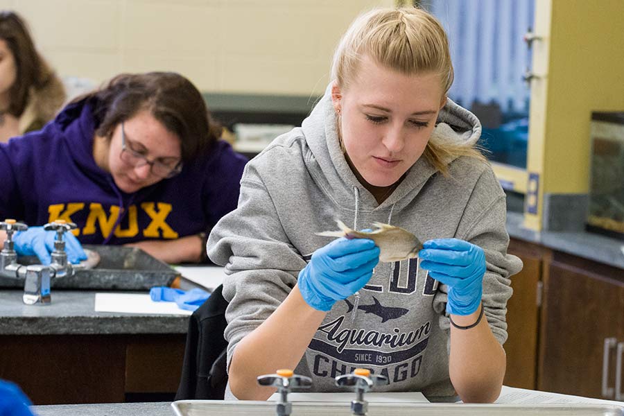 Knox College students re-enact ancient Greek warfare.