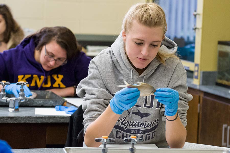 Knox College students re-enact ancient Greek warfare.