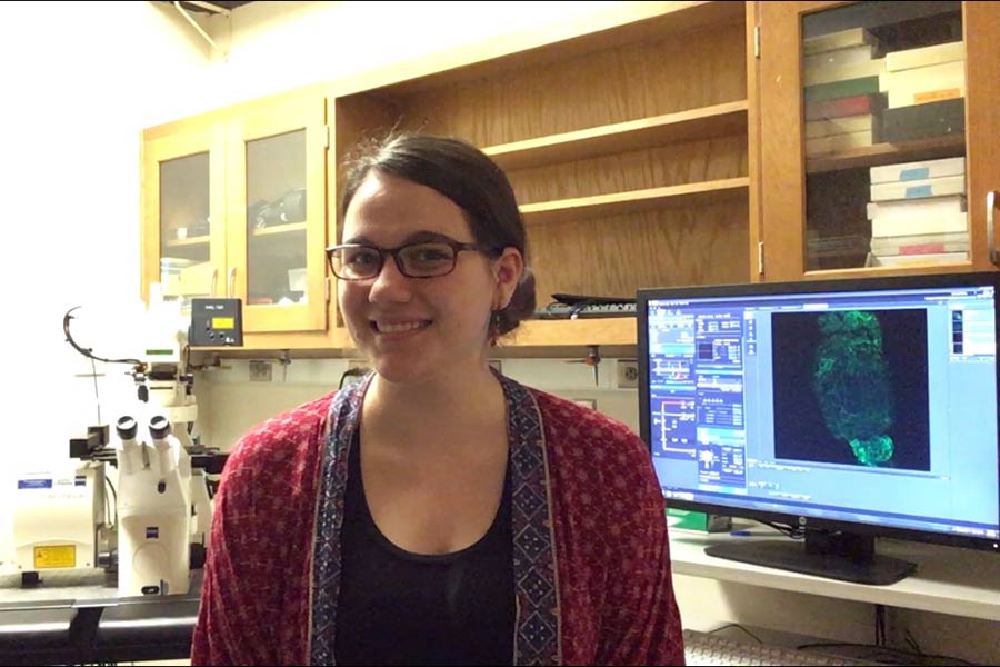 Emma Thornton-Kolbe '17 working as a lab manager at the University of North Carolina at Chapel Hill following graduation.
