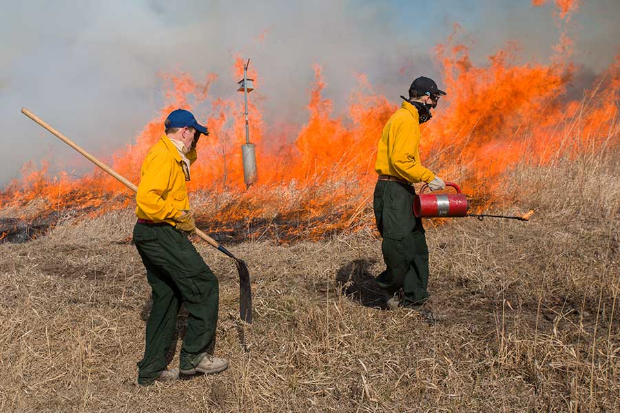 Knox College students conducting the annual prairie burn at Green Oaks Biological Field Station.