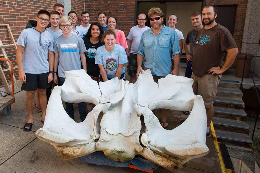 Knox College students and faculty prepare to bring the cranium of a fin whale into the Umbeck Science-Mathematics Center