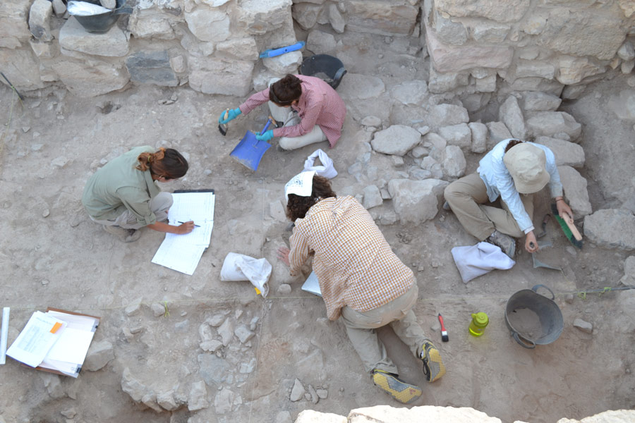 Dhiban Excavation Site