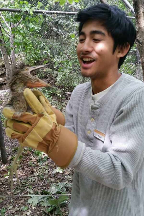 Mikko Jimenez '15, a biology major, works as an outreach biologist for a migratory bird initiative.