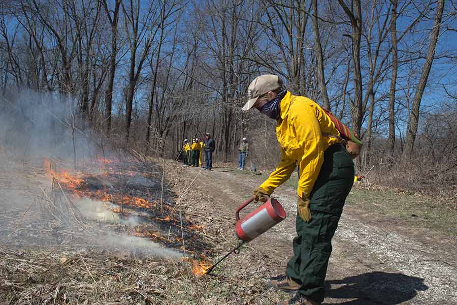 Knox students and faculty participate in the annual prairie burn to preserve the grassland from intrusions. 