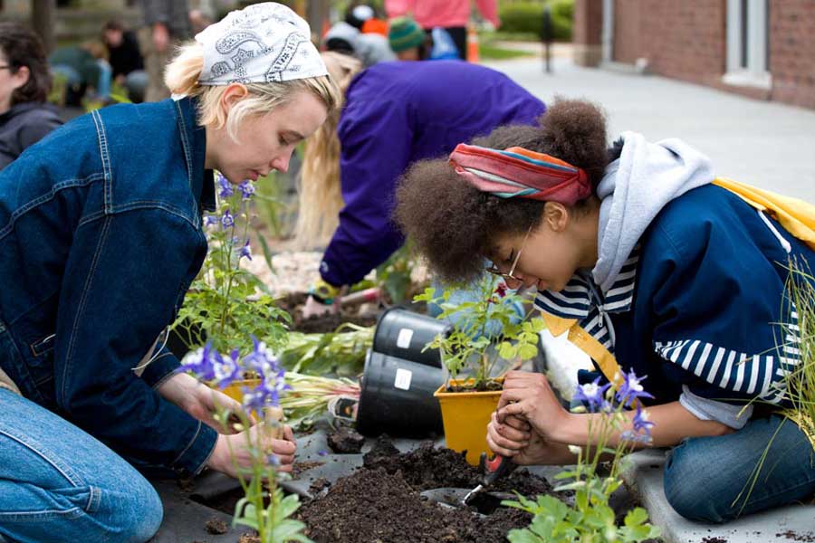 Knox College Students Plant Rain Garden to Control Water Runoff