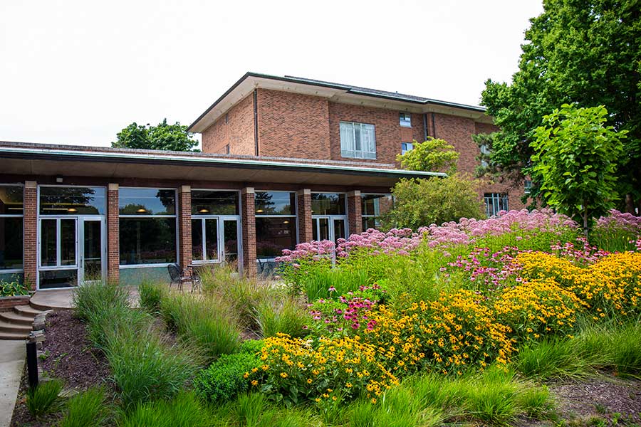 Wildflowers in bloom in the Jerry '68 and Diane Scott Stubbs '69 Memorial Garden, dedicated at Homecoming 2019.