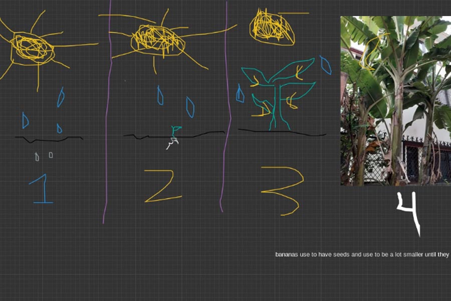A screen capture from a GoBoard tutoring session illustrates the process of genetically modifying banana plants.