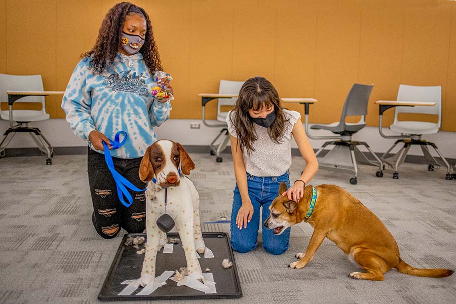 Takira Koonce '21 (left) and Alyssa Habschmidt '22 introduce a real dog, Roxanne (right), to see if Roxanne expresses jealousy.