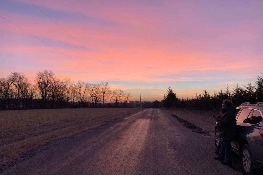 Pink and purple sky above, and a field with some trees in the distance, and a birdwatcher near a car on the far right
