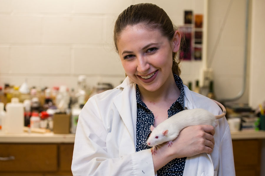 Student working with a white rat in a lab.