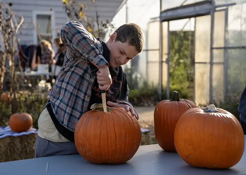 A student stands a table outside while carving a pumpkin. Two other large pumpkins sit at the table.
