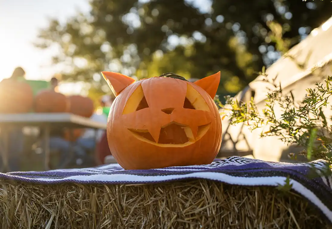 A carved pumpkin sits on a hay bale