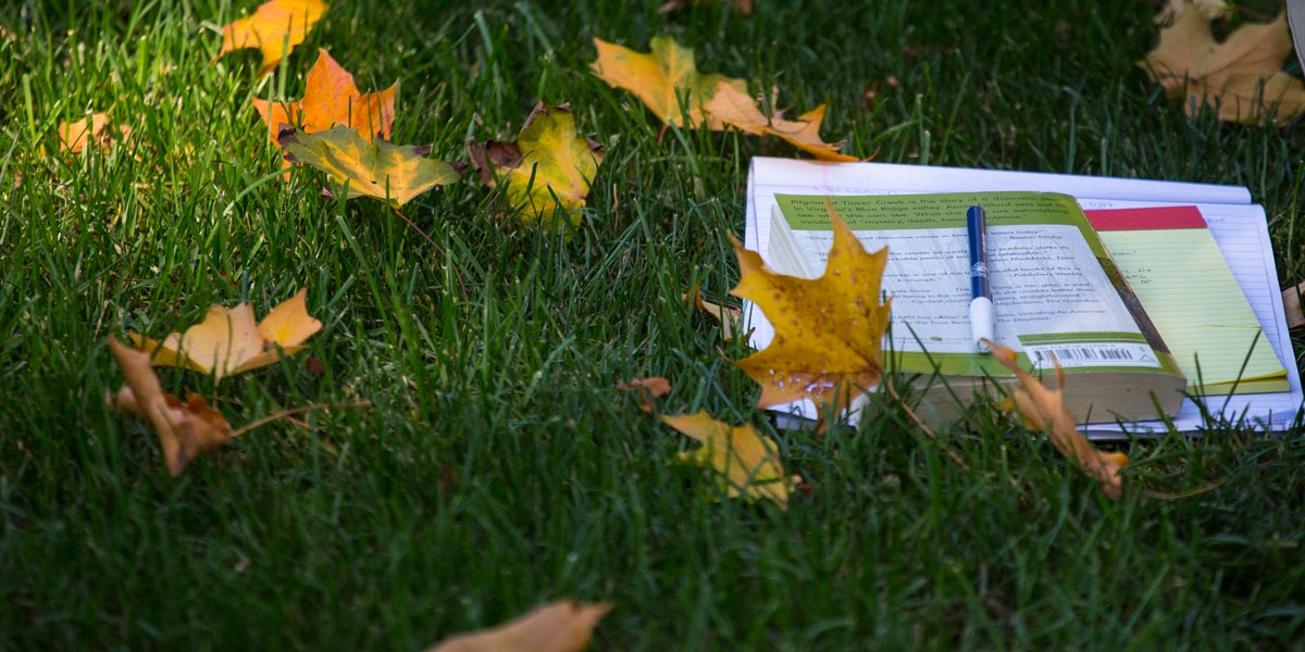 Books and notes on the lawn in an outdoor class.