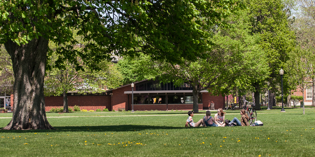 Students meet under a tree, outside the Gizmo.