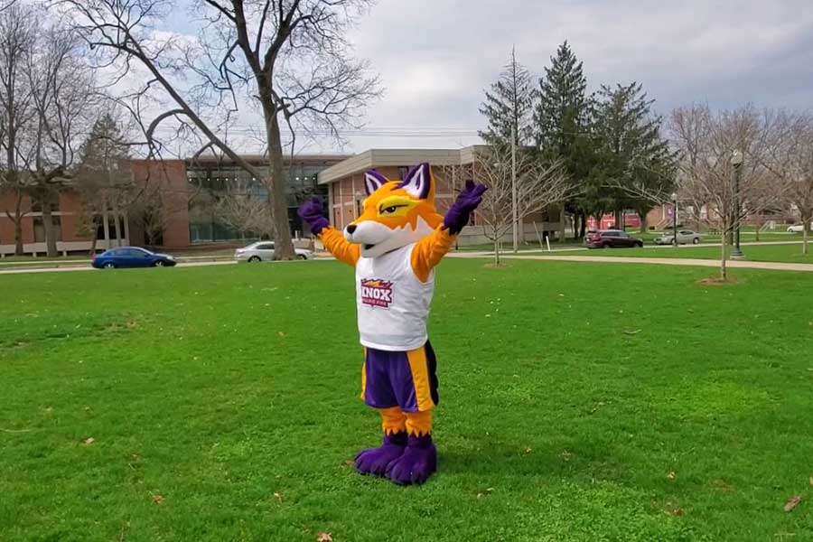 A Moment of Meditation and Yoga with Blaze!