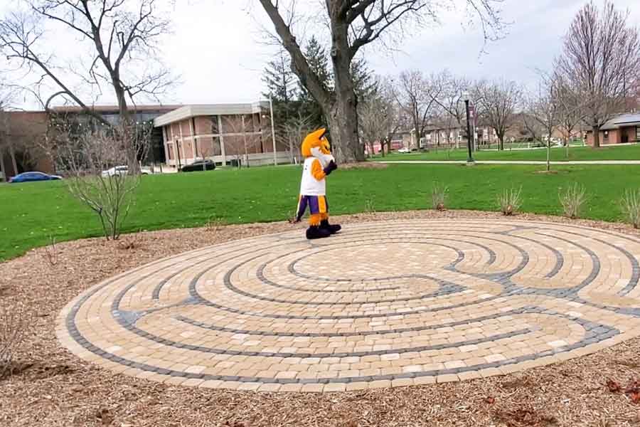 Walking the Knox Labyrinth with Blaze