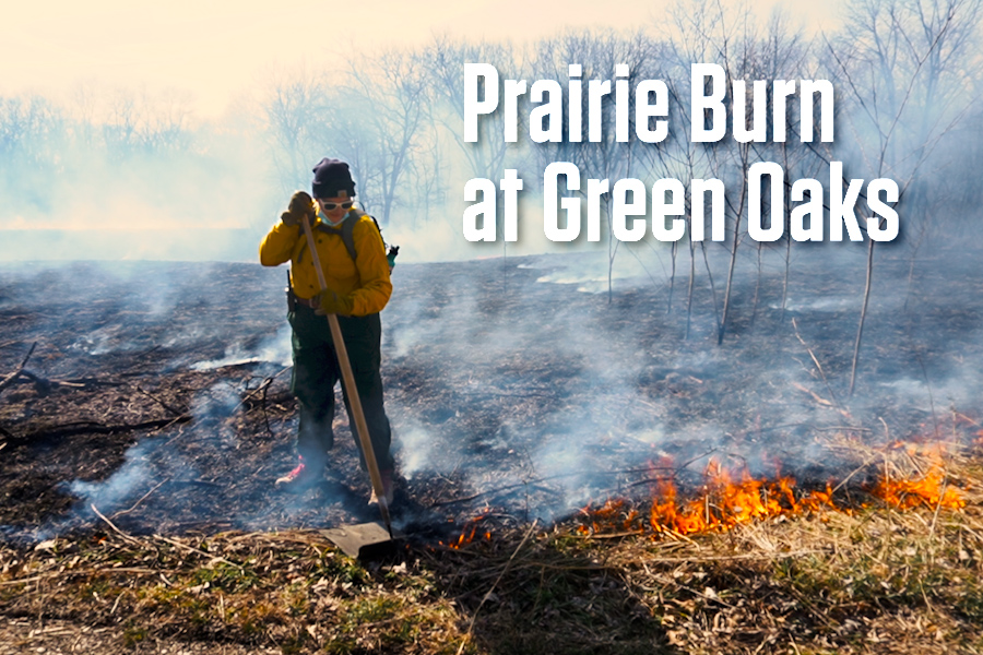 Image for Burn Prairie Burn