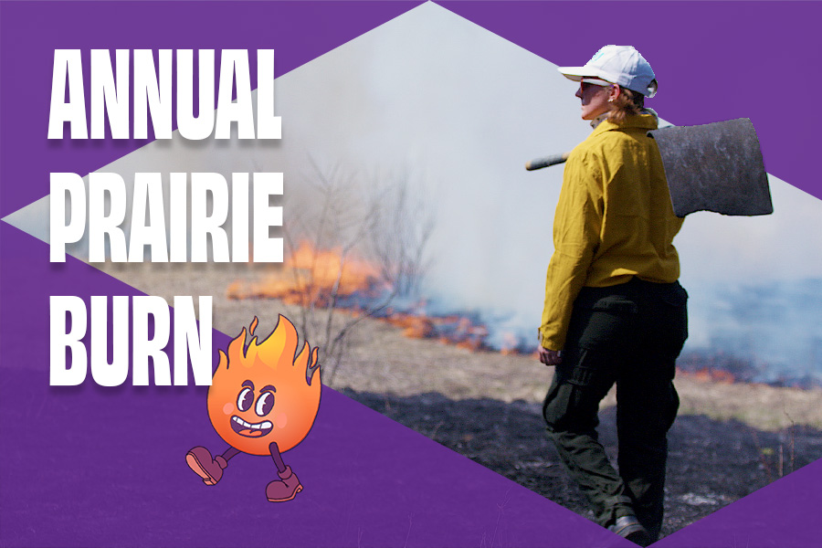 Image for Annual Prairie Burn at Green Oaks