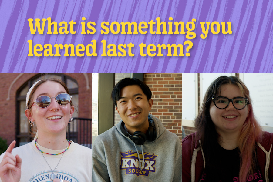 Image for What is something you learned last term?
