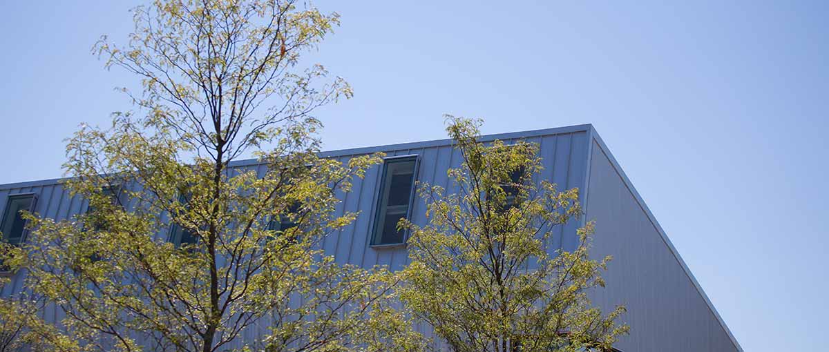 Trees are planted outside the new Whitcomb Art Center.