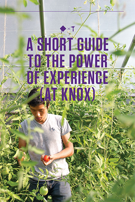 A Short Guide to the Power of Experience (at Knox)