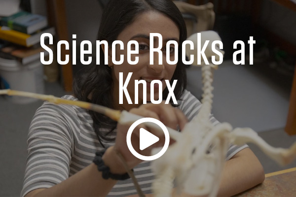 Science Rocks at Knox
