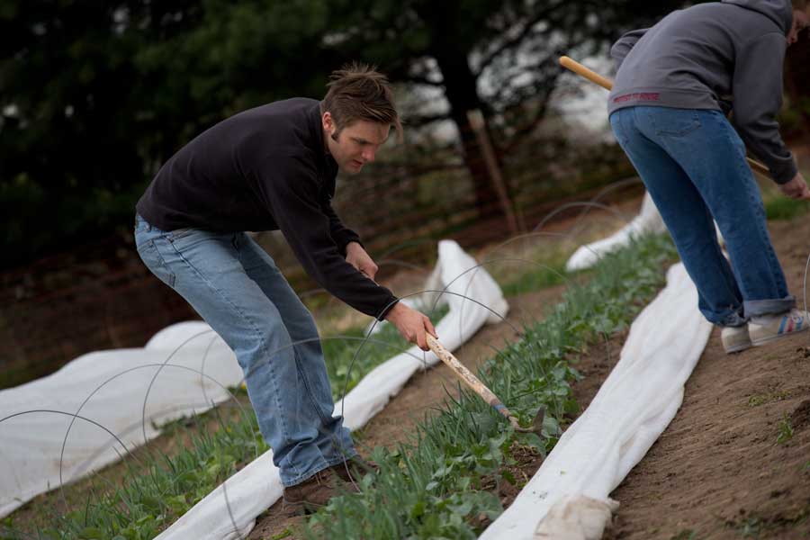 Marc Spehlmann '15 works on a farm as part of his StartUp Term project to create a new company.
