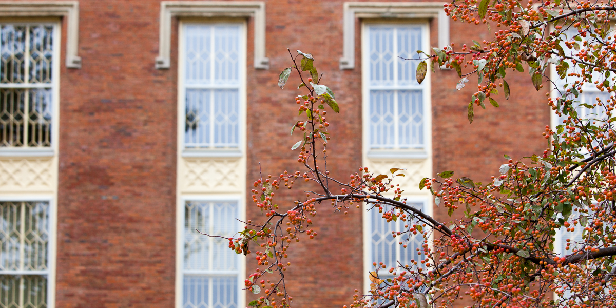 The windows of Old Main.